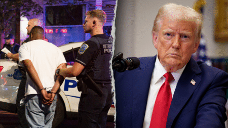 81% of Americans see crime as a ‘major problem’ in big cities, new poll shows