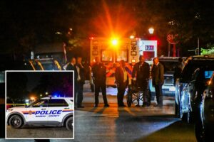 Long Island cops fatally shoot BB gun maniac after he makes chilling promise to his mom: police