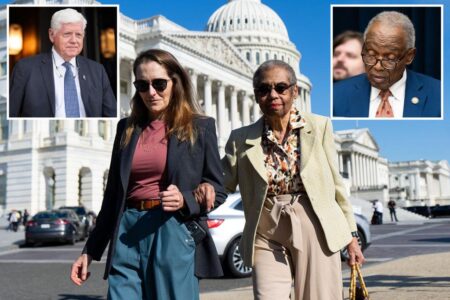 Oldest member of Congress, Democrat Eleanor Holmes Norton, is seeking reelection: ‘Not going to step aside’