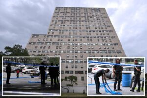Man shot in both legs in broad daylight Brooklyn attack