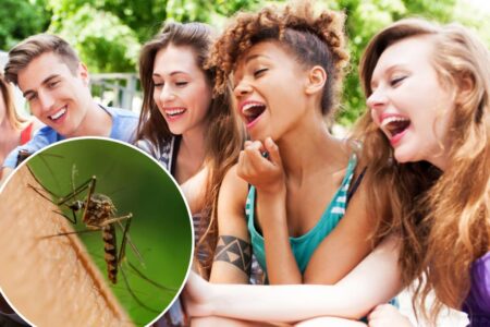 This common habit makes people mosquito magnets: ‘Taste for the hedonists’