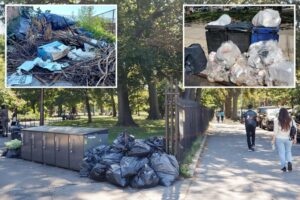 NYC park catering to hipsters and stroller moms now full of rats and syringes: ‘Really upsetting’