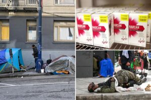 San Francisco vigilantes spraying OD antidote Narcan into unsuspecting homeless people