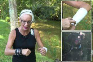 Florida woman fights off 5-foot alligator with bare hands to save 4-month-old puppy