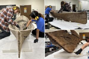 Mysterious canoe unearthed after Hurricane Ian puzzles Florida scientists: ‘Highly unusual’