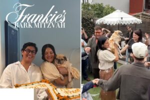 NYC couple host viral bark-mitzvah for 13-year-old pug: ‘Purely joyful’