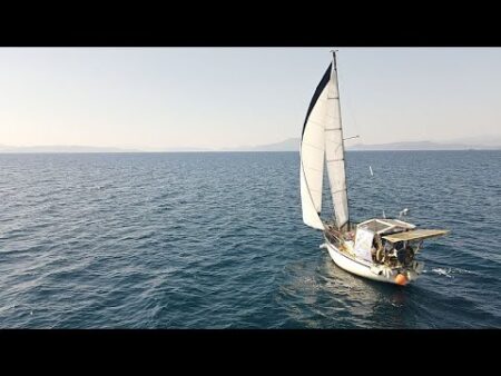 Meet the experts sailing to 26 Greek islands to protect endangered Mediterranean monk seals