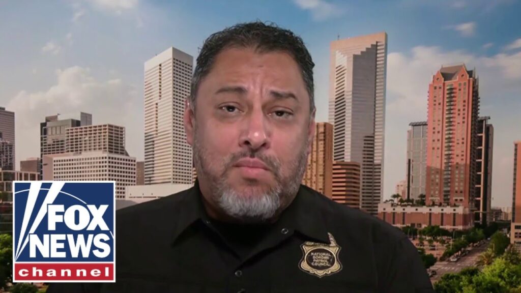 ‘JUDICIAL ACTIVISM’: Border expert slams federal judges for stymying Trump immigration crackdown