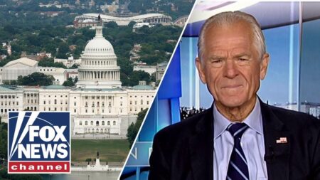 Peter Navarro fires back after court’s tariff ruling: ‘Weaponized partisan injustice’