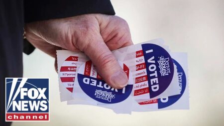 This is a sign of ‘people’s exhaustion’ with politics today: Former WH official