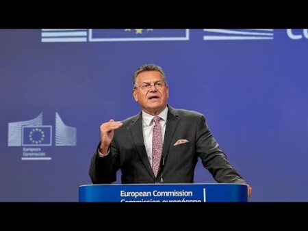 Brussels defiant against persistent criticism of EU-US trade deal