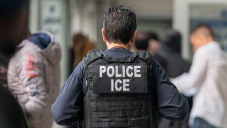 North Carolina city declares itself a ‘Fourth Amendment Workplace’ to protect illegal immigrants from ICE