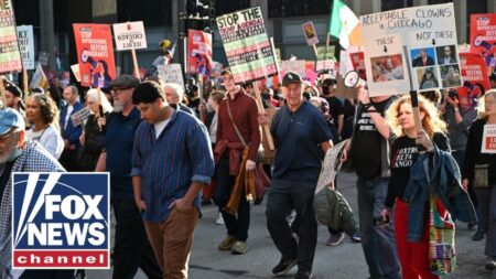 Anti-ICE protesters RAGE in Chicago: ‘Contentious stupidity!’