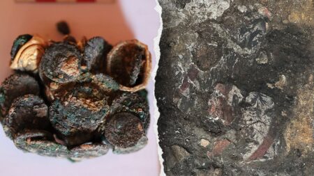Elite Roman family’s ancient treasure unearthed in ruins of fire-scorched dwelling
