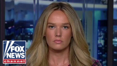 DHS official WARNS that cities are becoming ‘safe harbors’ to vicious gangs