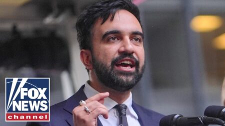 ‘People will go jobless and hungry’ if Mamdani wins, Ivy League professor warns