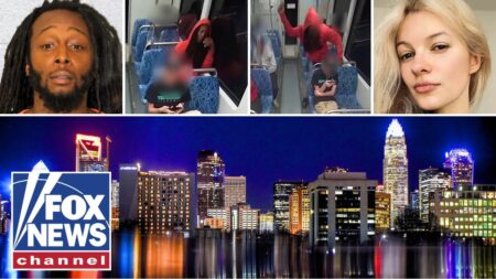 ‘MADNESS’: Dems’ ‘woke’ policies, cashless bail support shamed after disturbing train murder