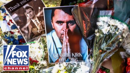 ‘HORRIFIC’: Charlie Kirk’s death is a ‘great warning,’ independent journalist says