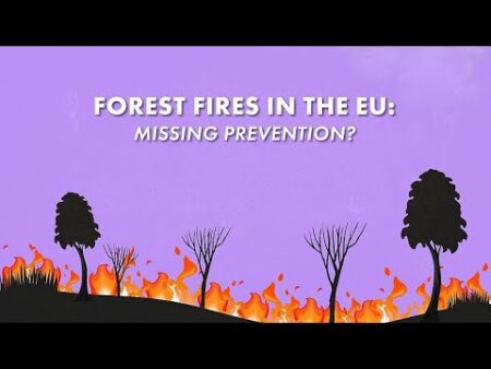 Is the EU failing to prevent forest fires?