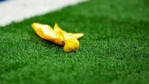 Michigan HS took ‘strong and decisive action’ against player over disturbing play, athletics org says