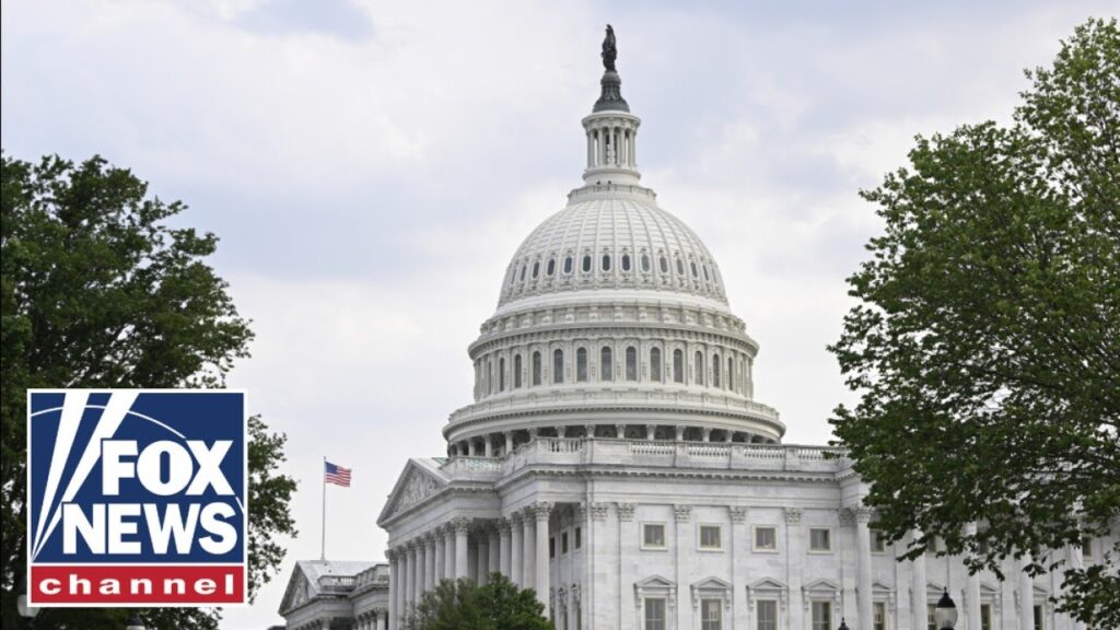 Democrats are ‘attempting to hold government funding HOSTAGE’ says Rep. John Thune (R-S.D.)