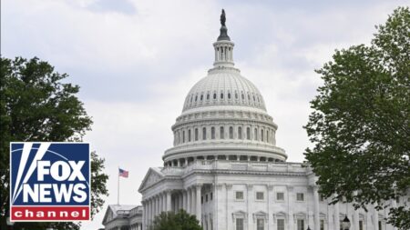 Democrats are ‘attempting to hold government funding HOSTAGE’ says Rep. John Thune (R-S.D.)