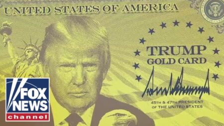 Trump to introduce a MILLION DOLLAR ‘GOLD CARD’ for immigration