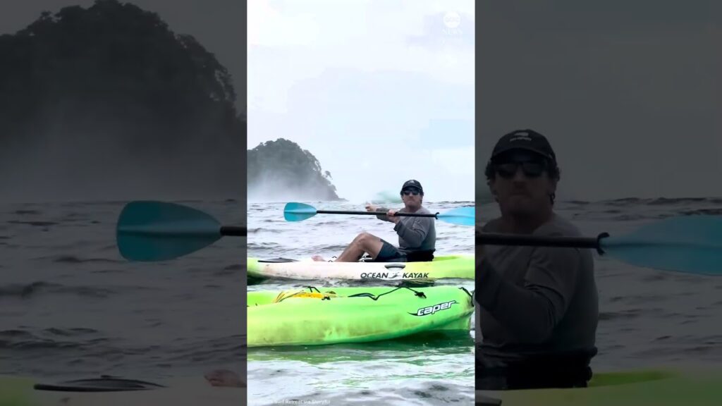 Breaching whales awe kayakers