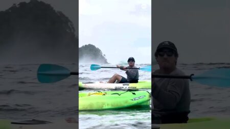 Breaching whales awe kayakers