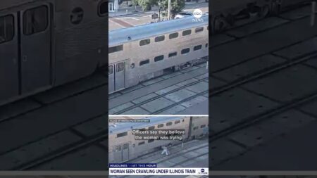Woman seen crawling under Illinois commuter train