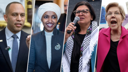 From words to bloodshed: Democrats blasted for rhetoric after deadly ICE shooting