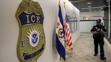 Chicago anti-ICE agitator faces federal charges after threatening to ‘kill’ agent