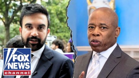 ‘OUTRAGEOUS’: Dems called out for ‘coddling’ extremists
