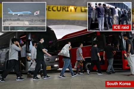 South Korean workers who were released after days of detention in Georgia return home