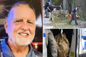 Skeletal remains found near NYC strip mall believed to be nurse who disappeared 4 years ago