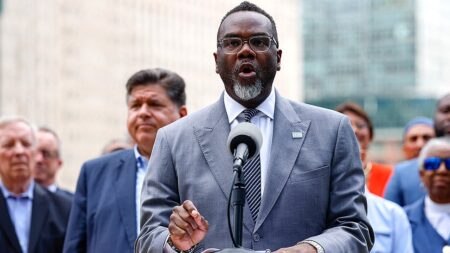 Top Chicago officials demand crime crackdown as mayor fights Trump over looming takeover: ‘100% need help’
