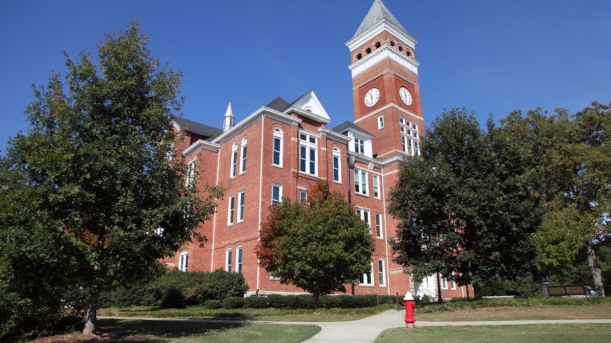 clemson university