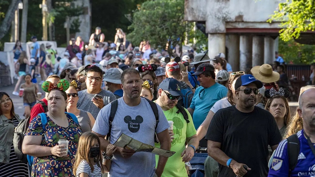 Crowds of adults at Disney's Animal Kingdom, some seen with Mickey ears and other merch.