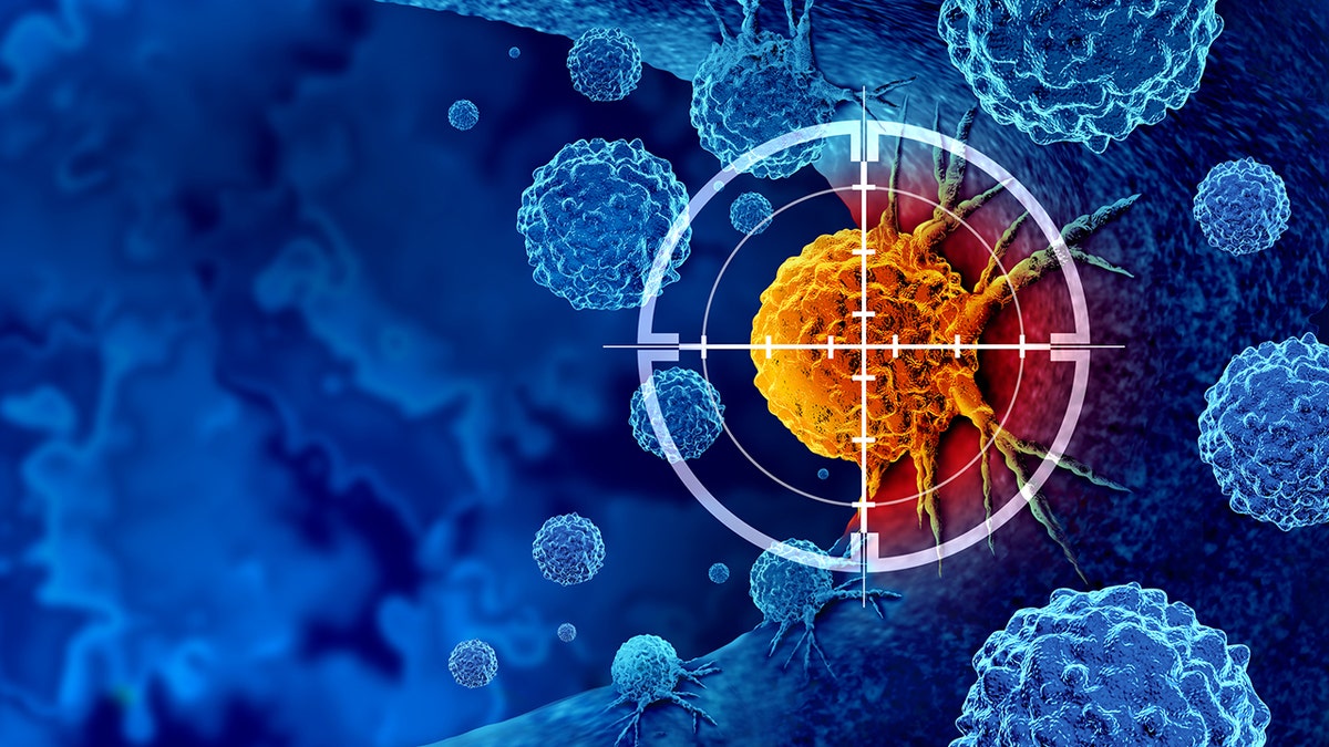 Illustration of targeted cancer cells