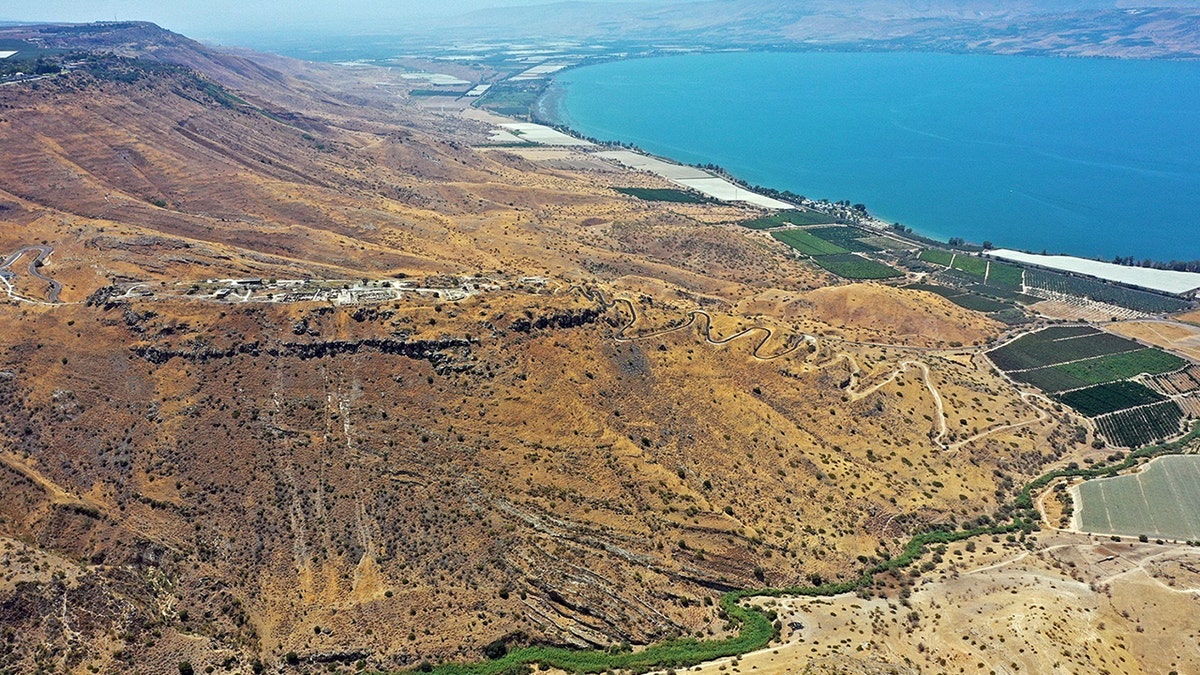Aerial of Hippos near Galilee Sea