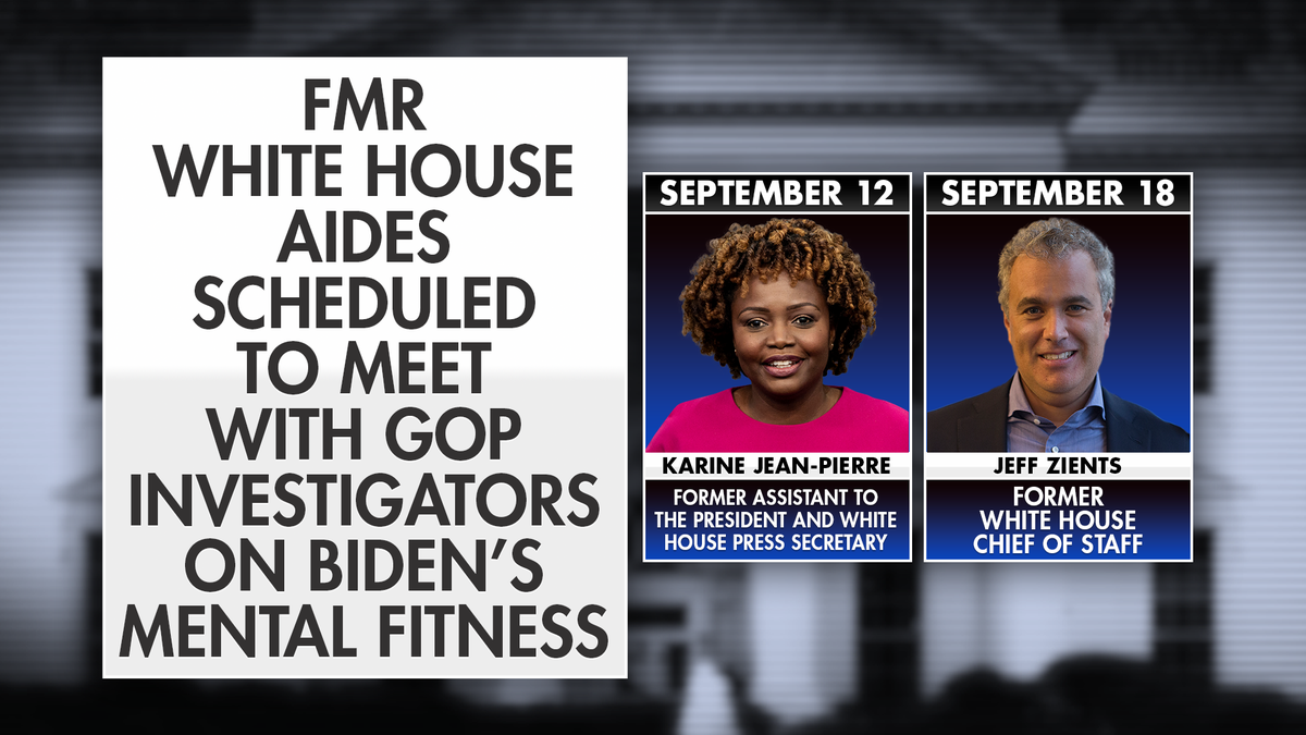 Former Biden aides