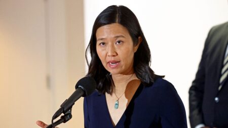 Mayor of sanctuary city advances to November election amid ICE crackdown resistance