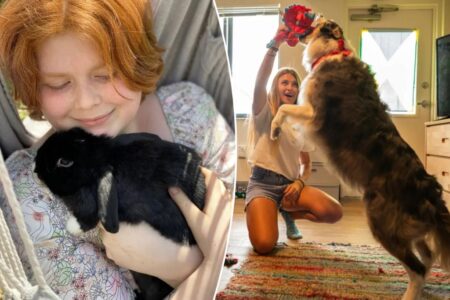 Exclusive | Gen Z students move emotional support pets into dorm rooms — to cope with the ‘trauma’ of college: ‘Really comforting’