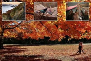 Exclusive | Check out the best places in and near New York to catch picture-perfect fall foliage as leaves hit their peak