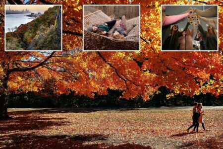 Exclusive | Check out the best places in and near New York to catch picture-perfect fall foliage as leaves hit their peak