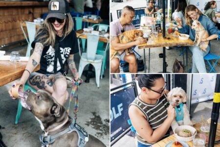 Exclusive | NYC restaurant is going to the dogs with new man’s best friend-only menu boasting ‘human-grade’ ingredients