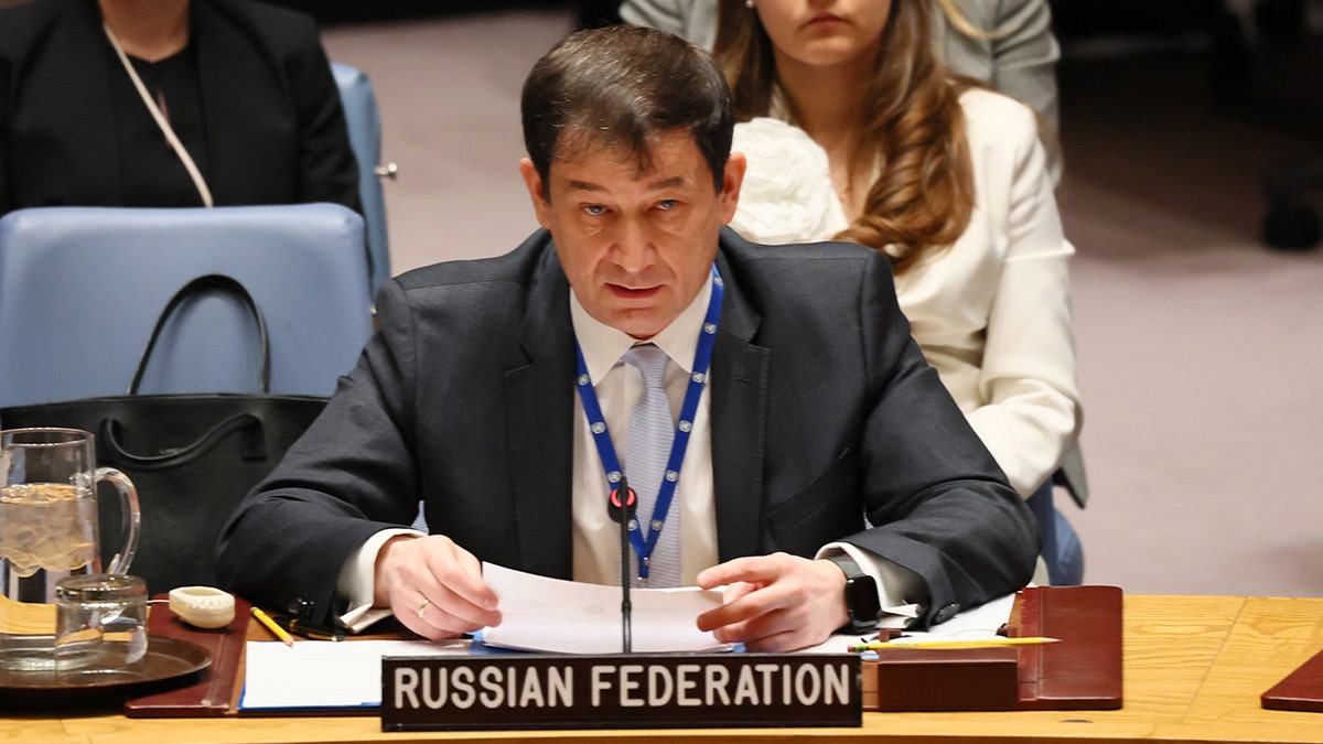 Dmitry Polyanskiy called accusations about Russian incursions "groundless."