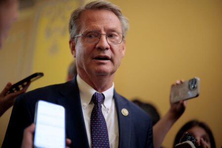GOP Rep. Tim Burchett tussles with anti-Israel protester on Capitol Hill