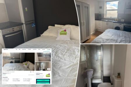 Tenants horrified by egregiously tight apartment listing: ‘Utter lunacy’