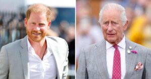 What’s Next for Prince Harry and King Charles III After Their Private Meeting?
